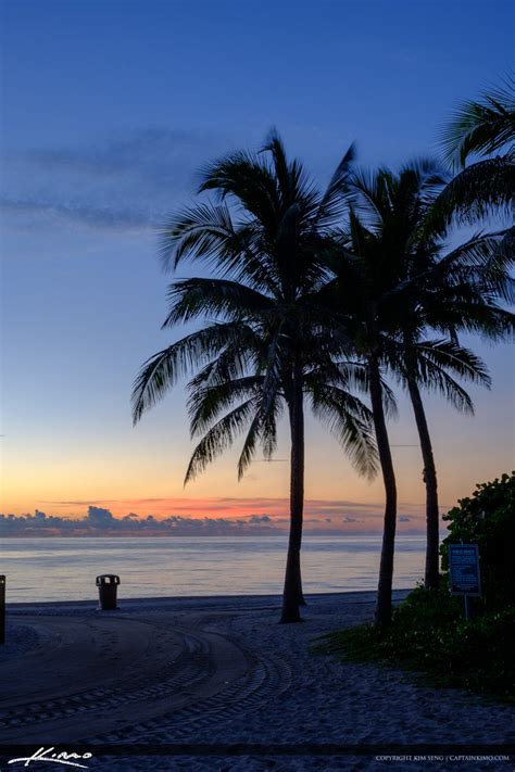 Sunny Isles Beach Sunrise Coconut Tree Lifeguard Tower Royal Stock Photo