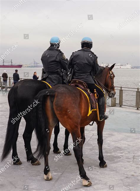 New York Police Department Mounted Unit Editorial Stock Photo Stock
