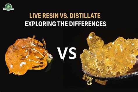 Live Resin Vs Distillate Exploring The Differences