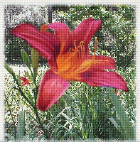Check spelling or type a new query. Day Lily Flower Counted Cross Stitch Pattern, Download ...