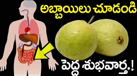 Health Benefits Of Jamakaya In Teluguhealth Tipsmana Plants Telugu