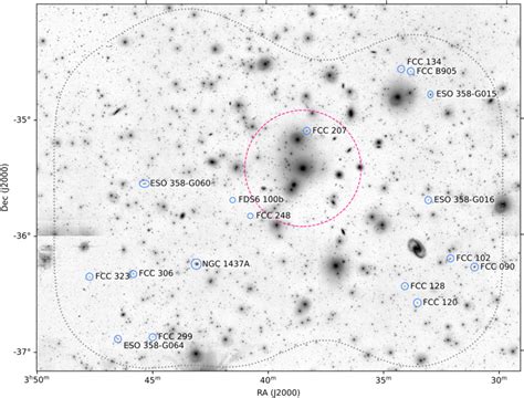 The H I Detected Dwarfs In The Fornax Cluster The Background Is The