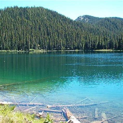 Pear Lake — Washington Trails Association