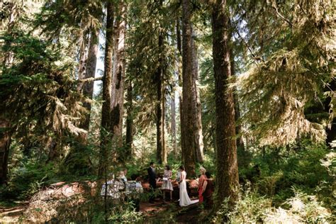 Hoh Rainforest Elopement In Hoh Rain Forest Visitor Center Upper Hoh