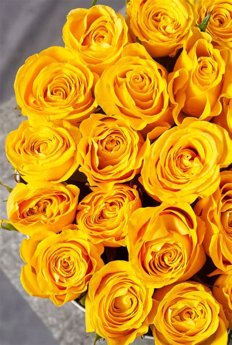 Yellow Rose Hatbox Flowersie