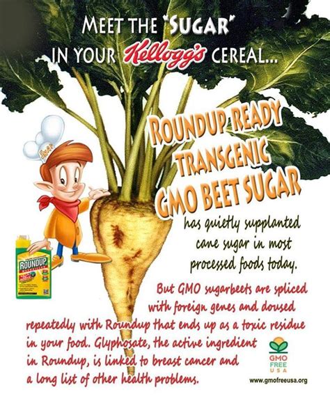 Kellogs Cereal Gmo Beet Sugar Gmo Corn Gmo Soy Gmo Facts Gmo