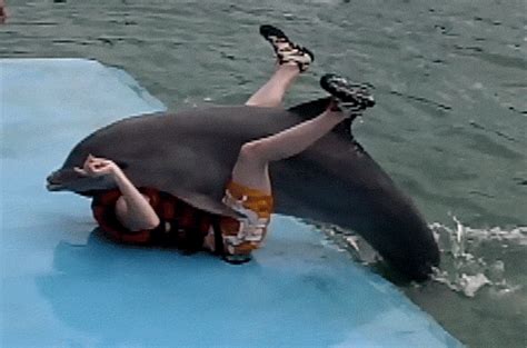A Person Laying On Top Of A Dolphin In The Water With Their Feet