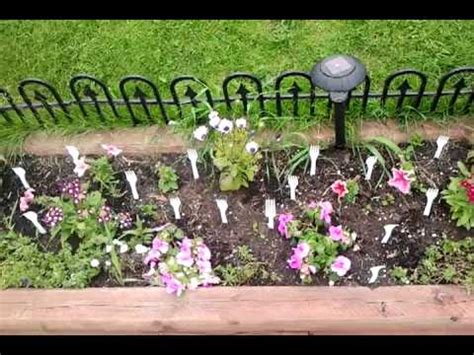 Clear away brush and clutter that can harbor mice and other small prey that cats love to pursue. How to keep cats out of your garden - YouTube