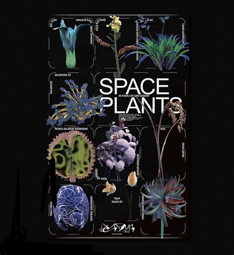 Space Plants — Arena