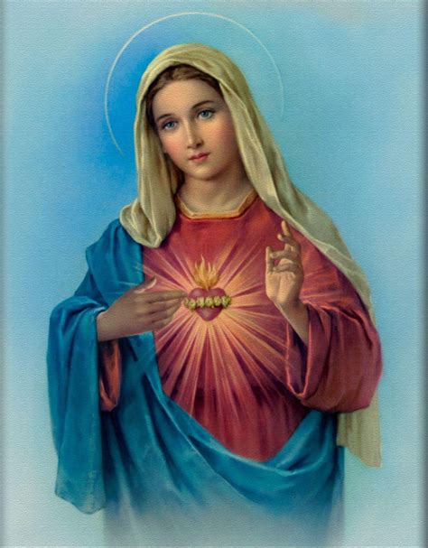 720p free download infallible catholic the blessed virgin mary immaculate heart of mary hd