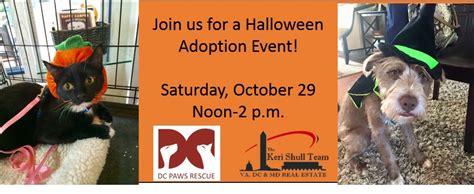We aim to bring people together in making this world a little heaven for both animals and humans. Keri Shull Team & DC Paws Rescue Host Halloween Pet ...