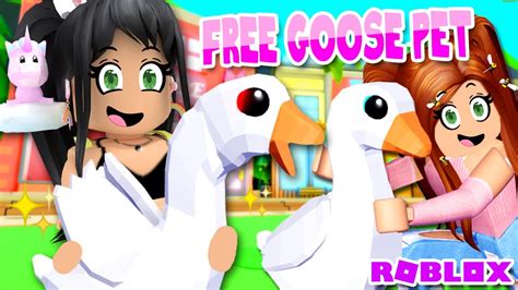 New 🦢goose Pets 🦢 Update On Club Roblox Youtube