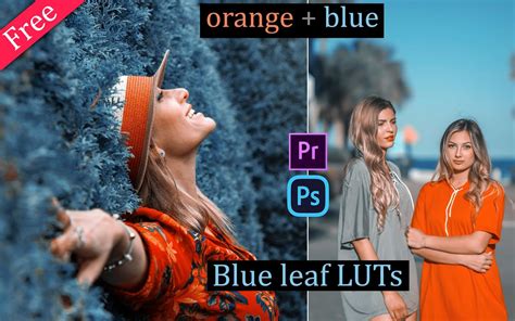 Download Blue Leaf Luts For Free Orange And Blue Luts How To Color
