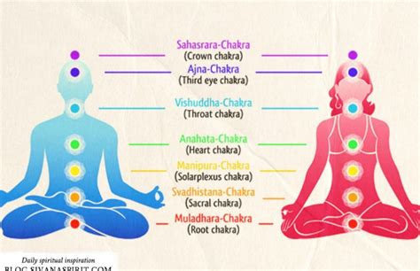 The 7 Chakras According To Tantra Yoga Chakra Yoga Kundalini Yoga