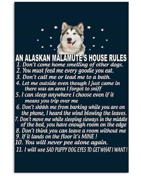 Dont Call Me Alaskan Malamute House Rules House Smells Raccoon