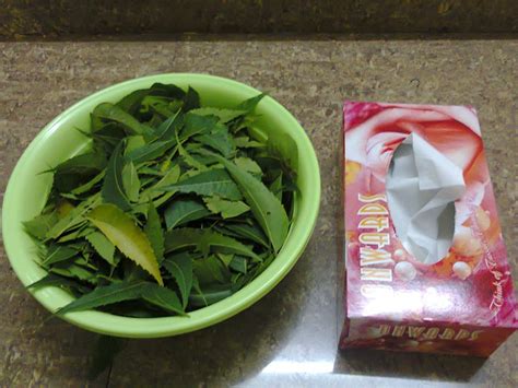 Cara mudah buat racun serangga organik guna cili dan bawang putih. Di celah-celah kehidupan: JOM BELAJAR BUAT RACUN ORGANIK ...
