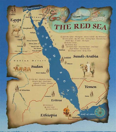 Red Sea Egypt Detailed Towncity Map Free Download