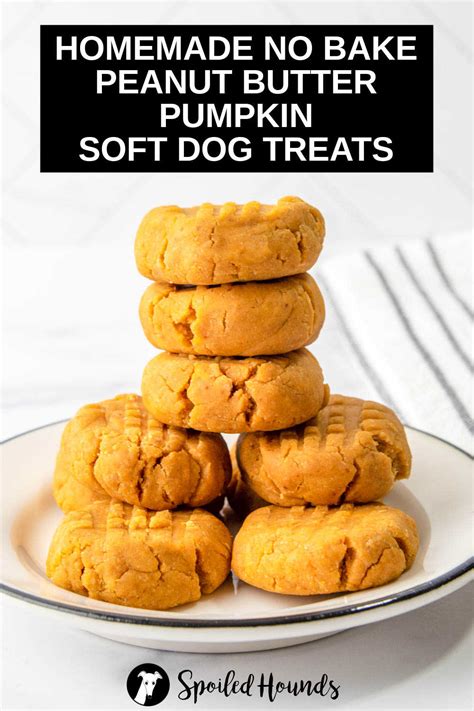Easy Peanut Butter Pumpkin Soft Dog Treats Spoiled Hounds