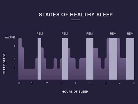 Stages Of Sleep Cycle Simply Explained Edugonist