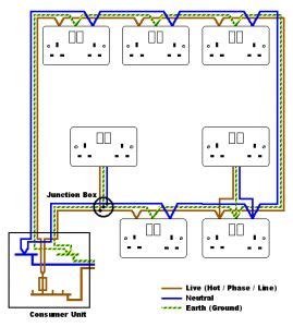 How to wire a ceiling light our guide. Ring main circuit diagram | Electrical wiring, House ...