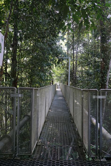 Terletak di taman rekreasi sungai sedim adalah tree top walk sungai sedim yang merupakan laluan titian gantung yang terpanjang di dunia. Thirteen Persona: Pengalaman Berjalan di Tree Top Walk ...
