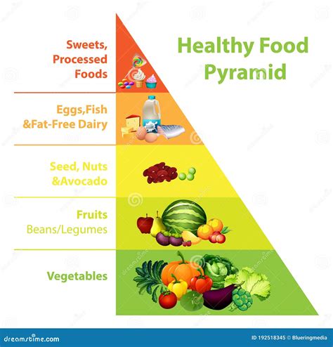 Healthy Food Pyramid Chart Stock Vector Illustration Of Meat