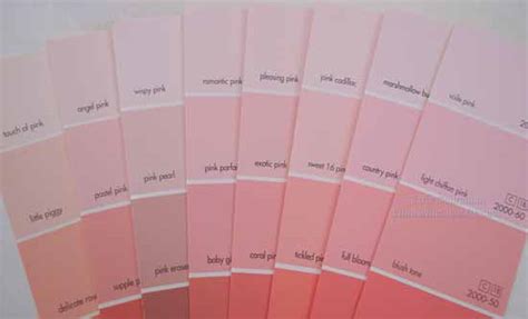 I thought it was perfect for this project. PINK Home Decorating - Paint and fabric combinations