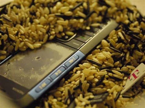 Feb 13, 2018 · as such, you should treat these fresh sausages as you would any perishable food item. Soaked Your Smartphone? Here's How to Dry it Out.