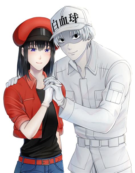 White Blood Cell Red Blood Cell U 4989 And Nt 4201 Hataraku Saibou