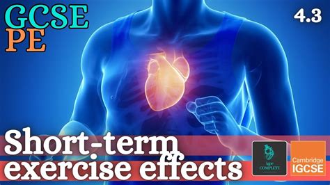 Gcse Pe Short Term Effects Of Exercise Anatomy And Physiology