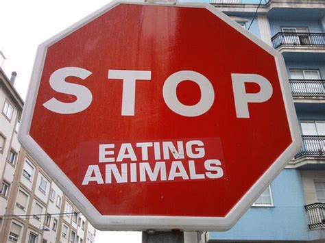 Stop Eating Animals 5pack Stop Sign Sticker