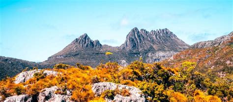 The only known cure is to holiday in a devonport cabin rental and get away from your world for a bit. Tasmania Cradle Mountain - Journeys International