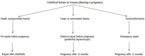 Frontiers Umbilical Hernia Repair And Pregnancy Before During After