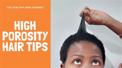 High Porosity Hair Tips Repairing Damaged High Porosity Hair South