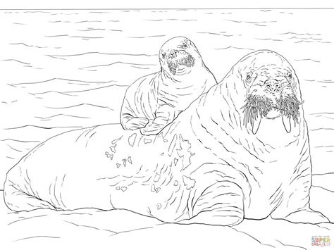 Free printable easy cartoon walrus coloring page in vector format, easy to print from any device and automatically fit any paper size. Ausmalbild: Walroßjunges auf dem Rücken der Mutter ...