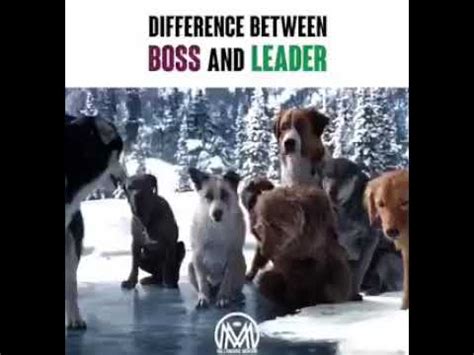 The difference between boss and leadera leader is a person who leads his followers, inspires, motivates and guides them in different matters.#motivation. Difference between Boss & Leader - YouTube