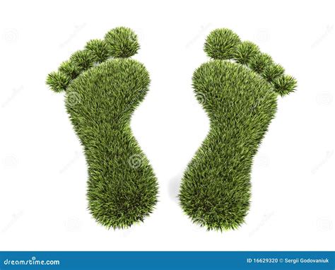 Grass Footprint Stock Illustration Image Of Turf Nature 16629320