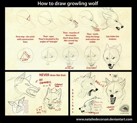 Growling Wolf Tutorial By Nataliedecorsair On Deviantart