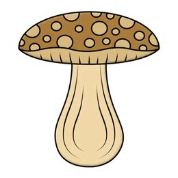 Skins and sleeves for your macbook or pc laptop. Cartoon Mushroom Step by Step Drawing Lesson