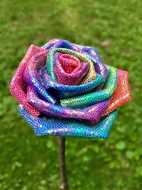 Images Of Rainbow Roses