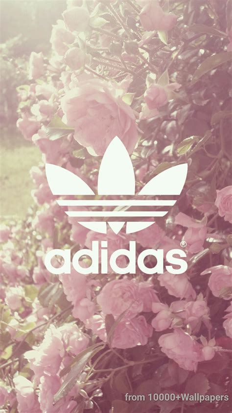 Adidas hintergrundbilder und frei fotos. Die 67+ Besten Sprüche Hintergrundbilder für Tumblr