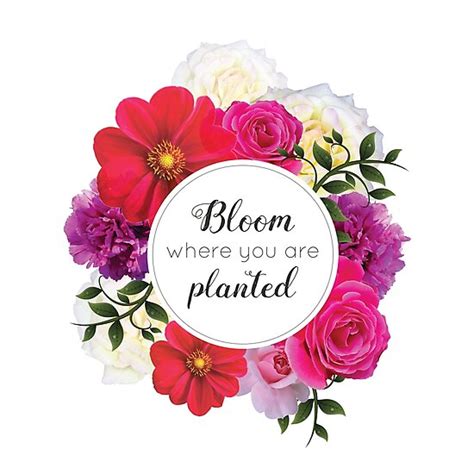 They're now turning those seeds into intellectual property, so they have a virtual lock on the seeds upon which we all depend for our food and survival. "Inspirational Quotes - Bloom Where You Are Planted" Photographic Prints by Sago-Design | Redbubble