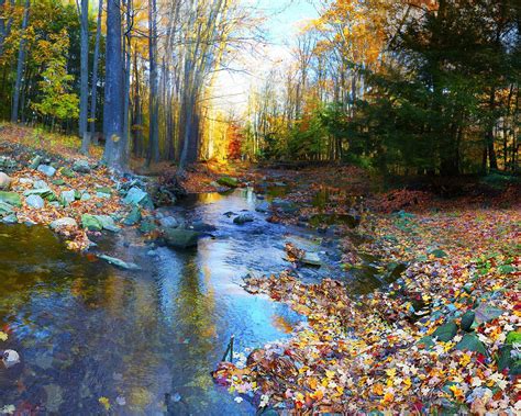 Wallpaper Autumn Landscape Forest Trees Colorful Foliage River Stones 2560x1440 Qhd