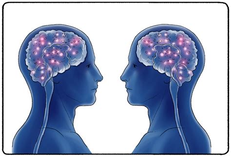 Left Brain Vs Right Brain Theory Myth Practical Psychology