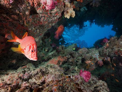 20 Stunning Photos Of Underwater Caves Around The World Businessinsider