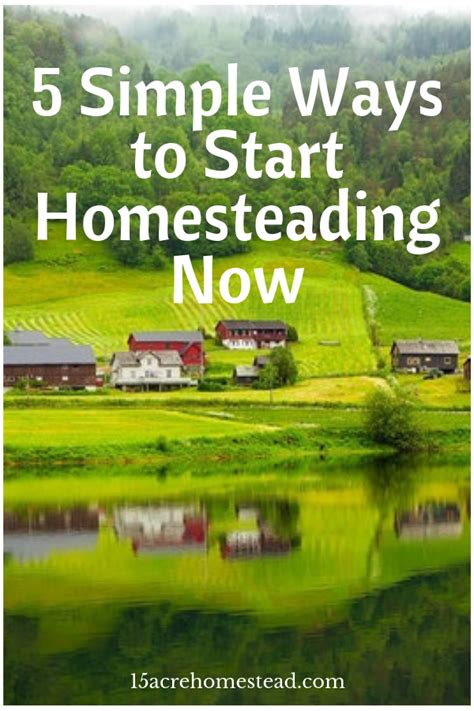 5 Simple Ways To Start Homesteading Now Homesteading Homesteading