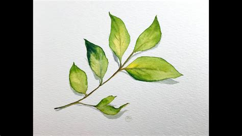 How To Paint A Simple Leaf In Watercolors Level 1 Easy Youtube