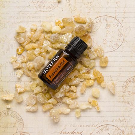 Frankincense Oil Uses And Benefits DoTERRA Essential Oils