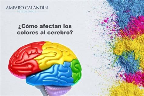 Efectos Fisiológicos Y Psicológicos Del Color En Tu Cerebro