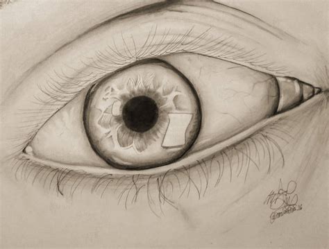 Realism With Charcoals Realistic Human Eye By Lioralaeticia16 On